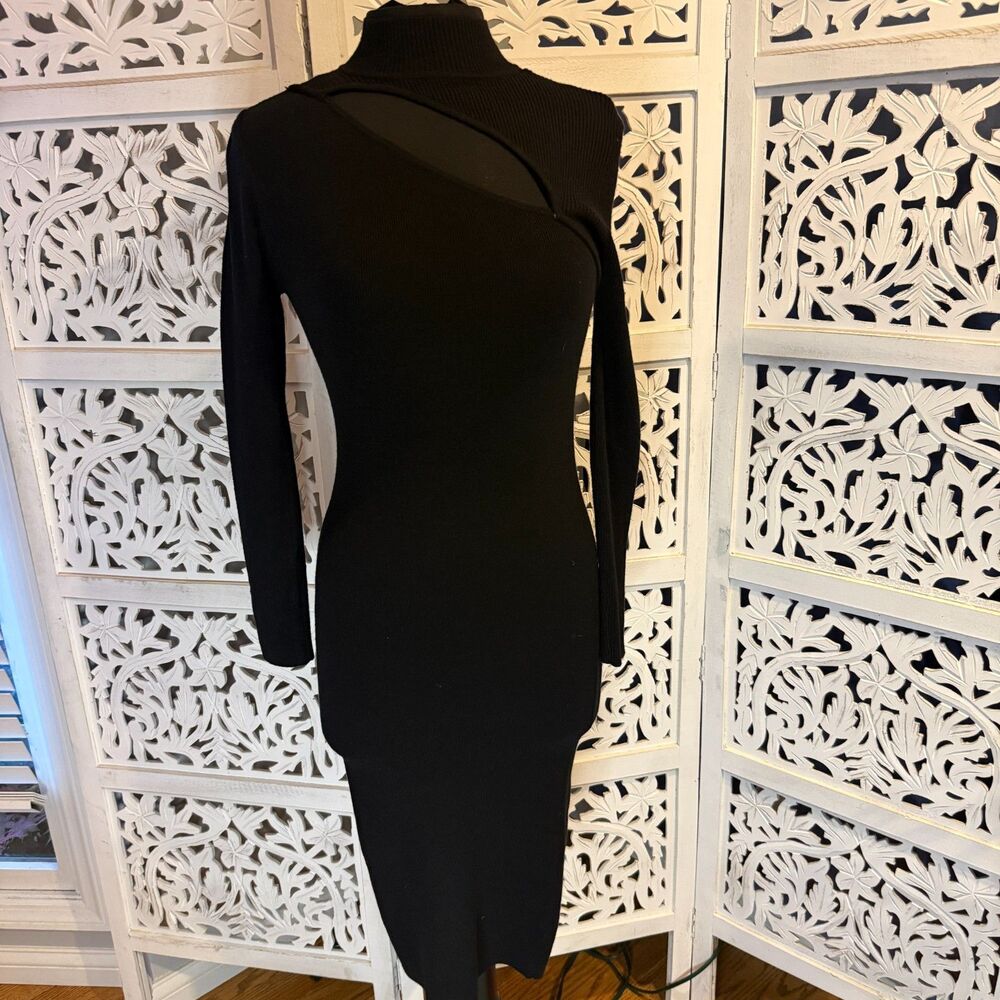 Beautiful Woman Sweater Dress Black Woman Size Large Active USA